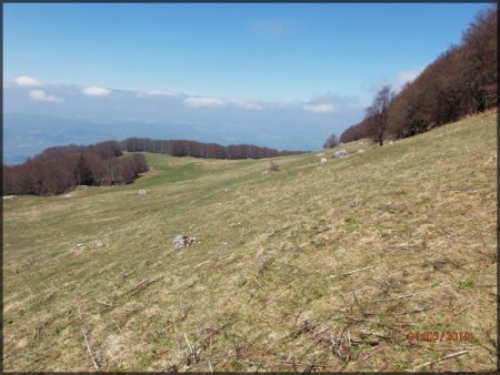 Prairie de Fessole, vue vers le nord en longeant le sous-bois.