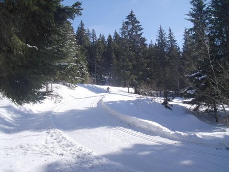 J’arrive de la gauche, je coupe la piste de fond (route forestière des éperières) je prend en face dans la combe