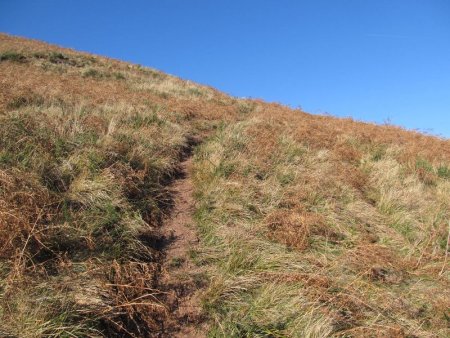 Puis on laisse la piste pour un sentier qui grimpe vers le sommet.