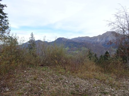 Piste forestière de Montlardier