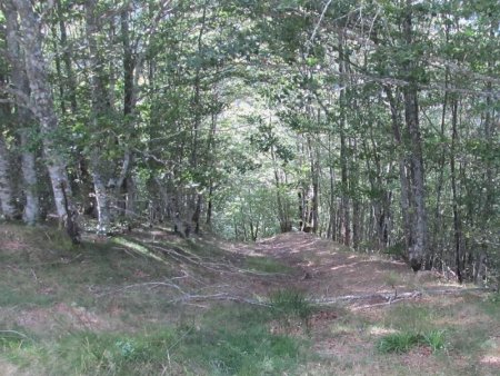 La piste VTT quitte la crête pour entrer descendre dans le vallon.