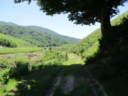 Sur le sentier d’interprétation , au plateau d’Iraty-Cize