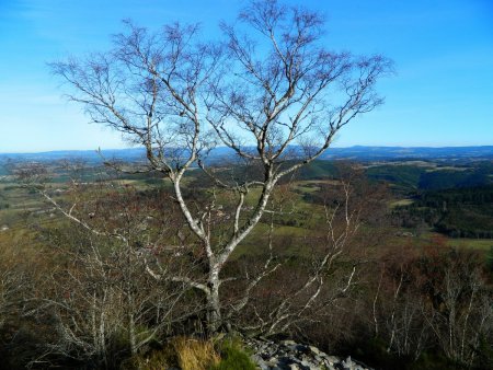 Plateau du Velay.