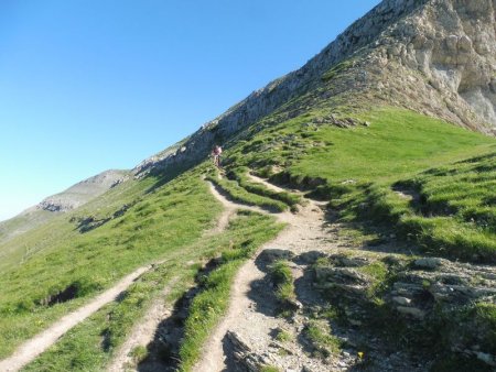 Traversée montante sur le flanc sud de l’Orhy Chipia.