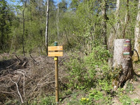 Panneau au col des Justices