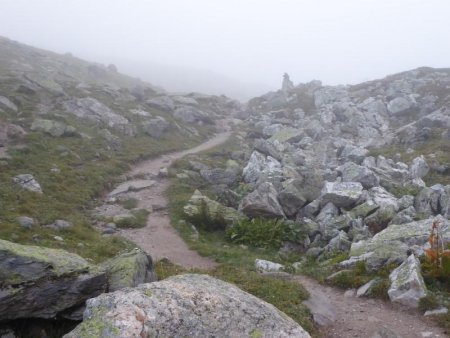 brouillard sur le chemin