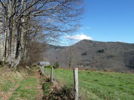 En arrivant à Bourdials.