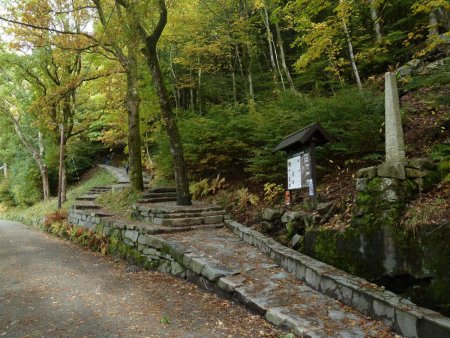 Le départ de la fameuse course de Stolzen