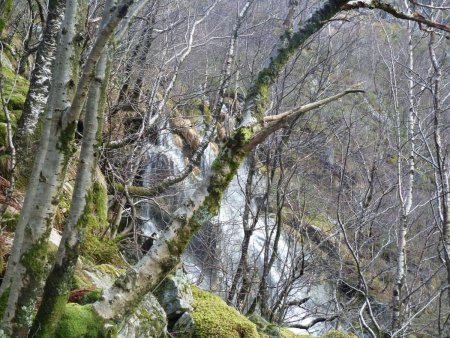 Cascade dans les bois.