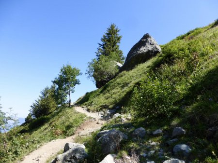 Le sentier aisé