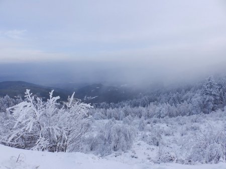 Retour au Col du Gratteau.