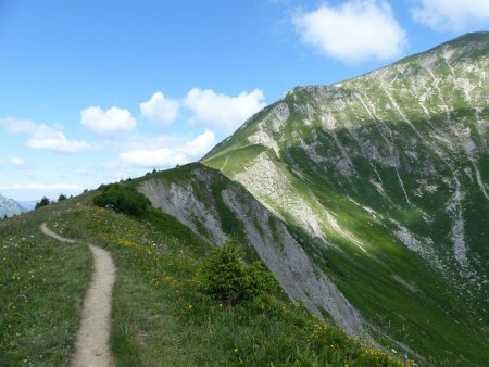 Sur la crête