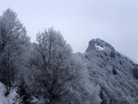 Le grand Roc (1623m)