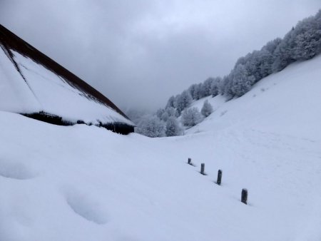 Chalets de la Buffaz (1498m)