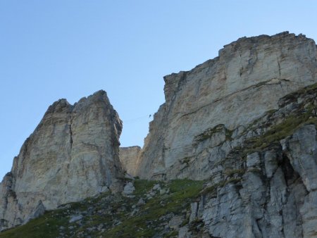 Pont de singe