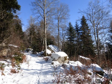 Sur le sentier