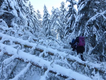 obstacle sur la piste