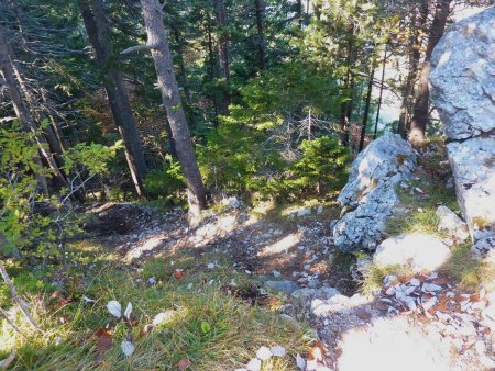 Sur le sentier d’approche qui monte vers les Petites Pucelles de Saint-Nizier