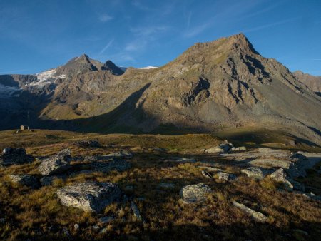 Ouille du Midi