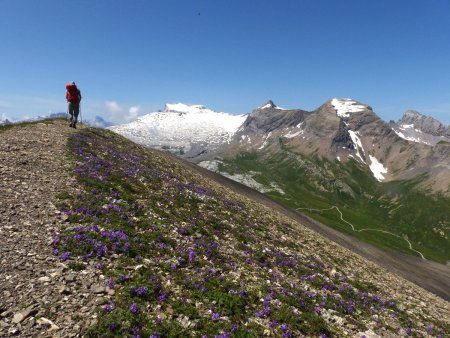 Sur la crête vers le col de Sanetsch