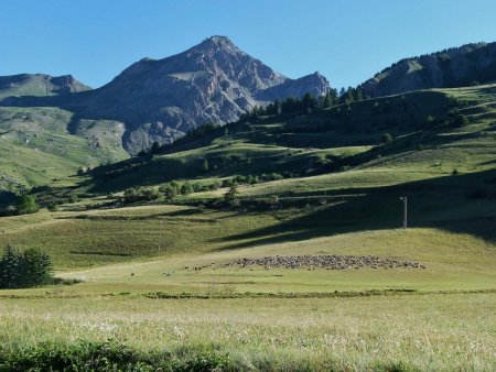 Sur la route du Lauzanier