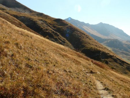 Dans la Montagne du Cours d’en Haut