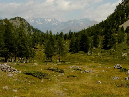 Dans le vallon de Comboé.