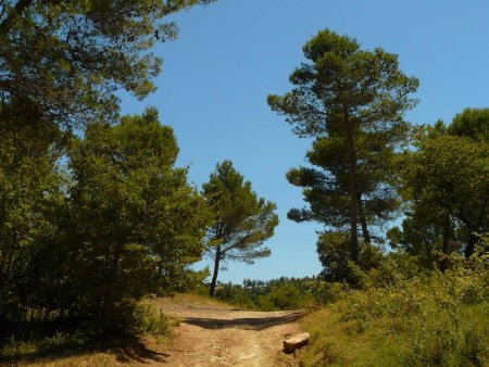 Col 404m. Pour le Castellas, à gauche.