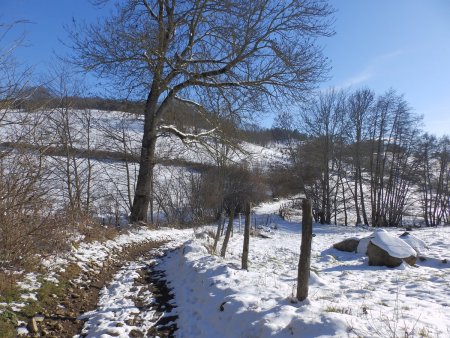 En direction de la Villardière.