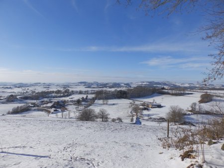 Vers le Crêt de la Courtine.