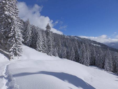 Dans le rétro.