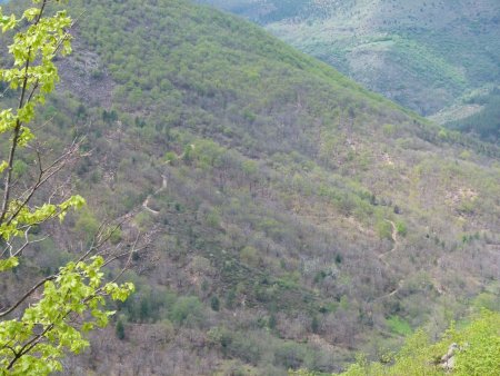 ... avant de remonter cette piste vers la Montagne de Cocurès-Bédouès