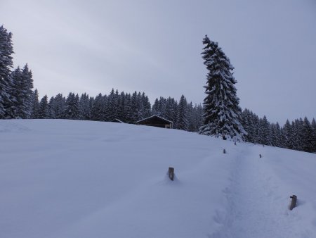 Dans le rétro.