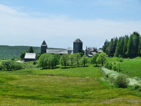 Aubrac