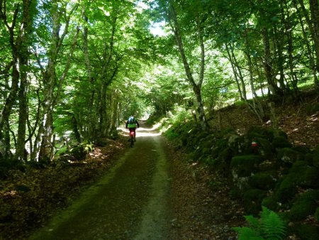 Retour sur le GR65 Chemin de Saint-Jacques