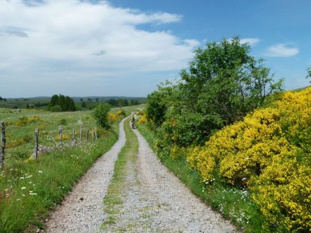 Sur le Chemin des Granges