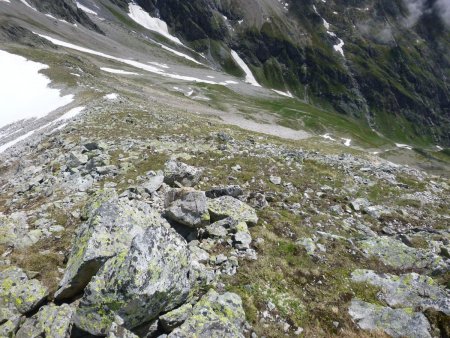 Retour au collet et descente dans les pentes herbeuses