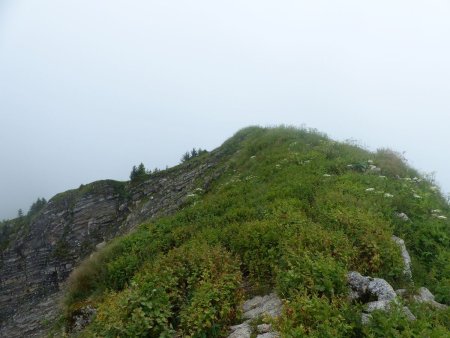 Sur la Pointe du Haut Fleury