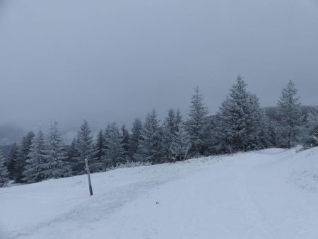 Nuances de blancs