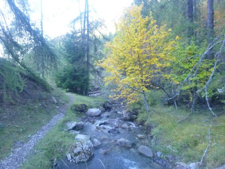 Le long du ruisseau de la Chasse