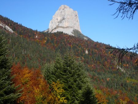 Couleurs d’automne.