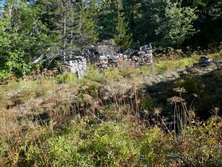 Ruines de Tiolache du Bas.