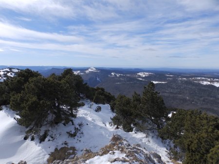 Vers le Crêt de Chalam.