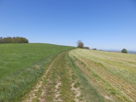 En direction de Soleymieux.