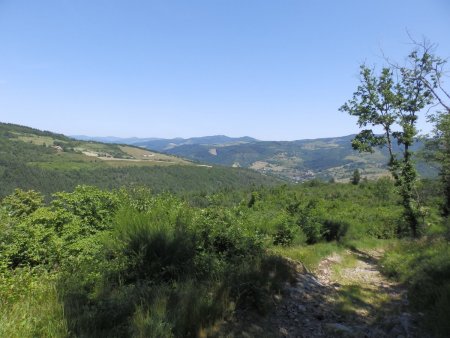 En sortant des bois, vue sur les Monts du Beaujolais.