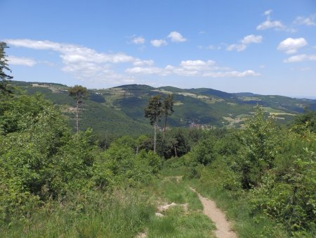 Vers le Crêt de Barmont.