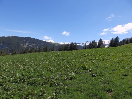 Le Mont Blanc apparaît.