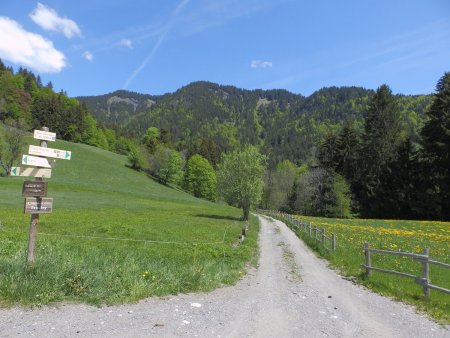 Au Réon d’en Haut. Le Christomet est à gauche de la photo.