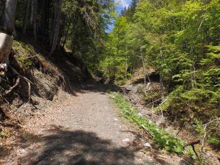 En longeant le ruisseau du Praz.