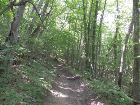 En direction du Col de Malval.